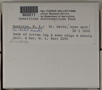 Image Associated With the Occurence